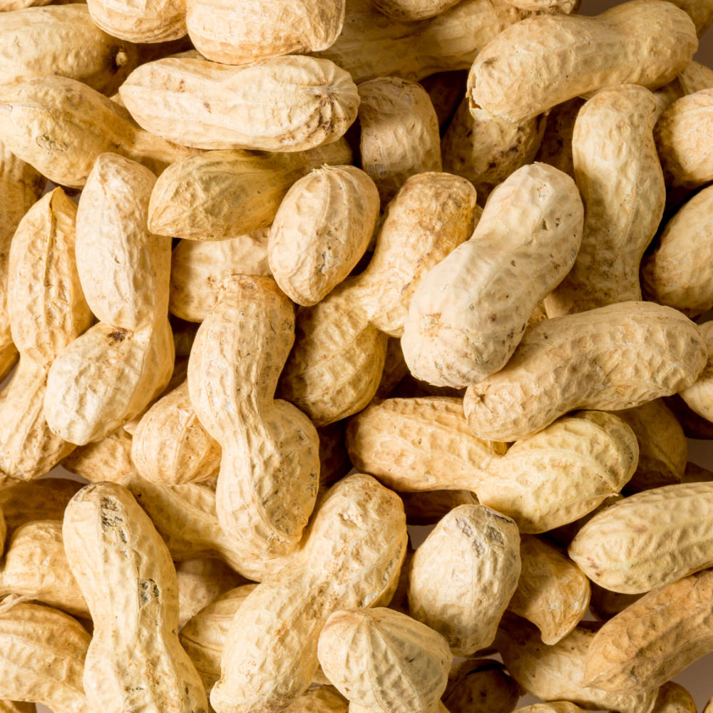 Peanut Gujjar Khan