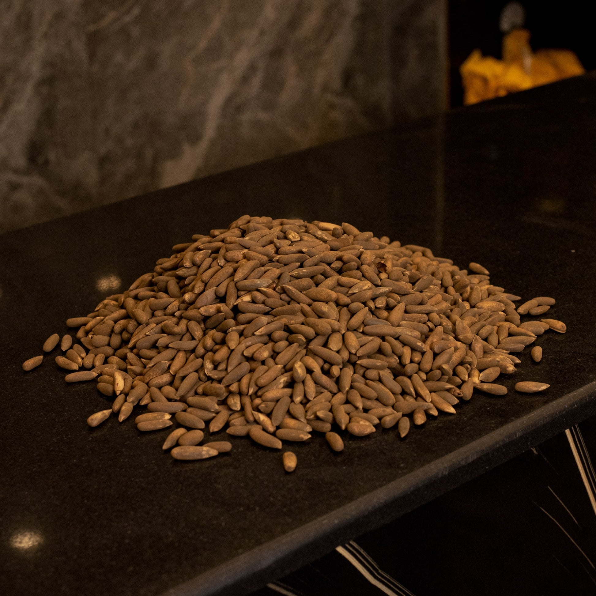 Shama Dry Fruits - Chilgoza (Pine Nuts)